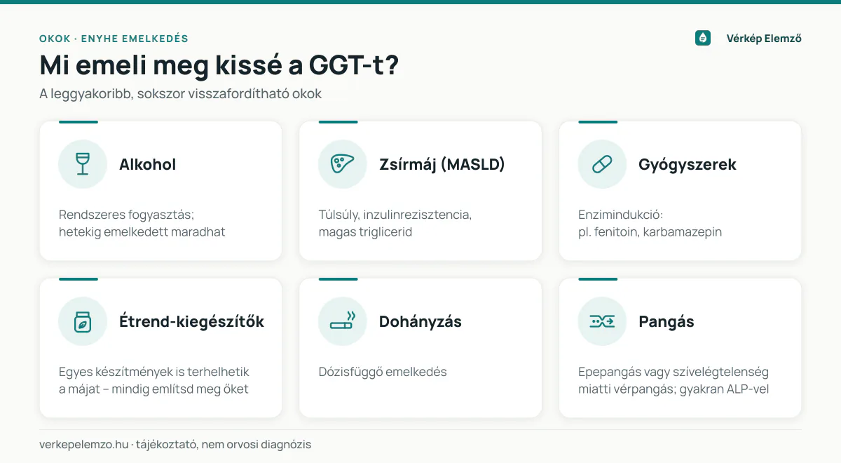 Az enyhén emelkedett GGT leggyakoribb okai Hat kártyás infografika az enyhén magas GGT gyakori okairól: alkohol, zsírmáj és anyagcsere, enziminduktor gyógyszerek, étrend-kiegészítők, dohányzás, valamint epeúti vagy keringési pangás