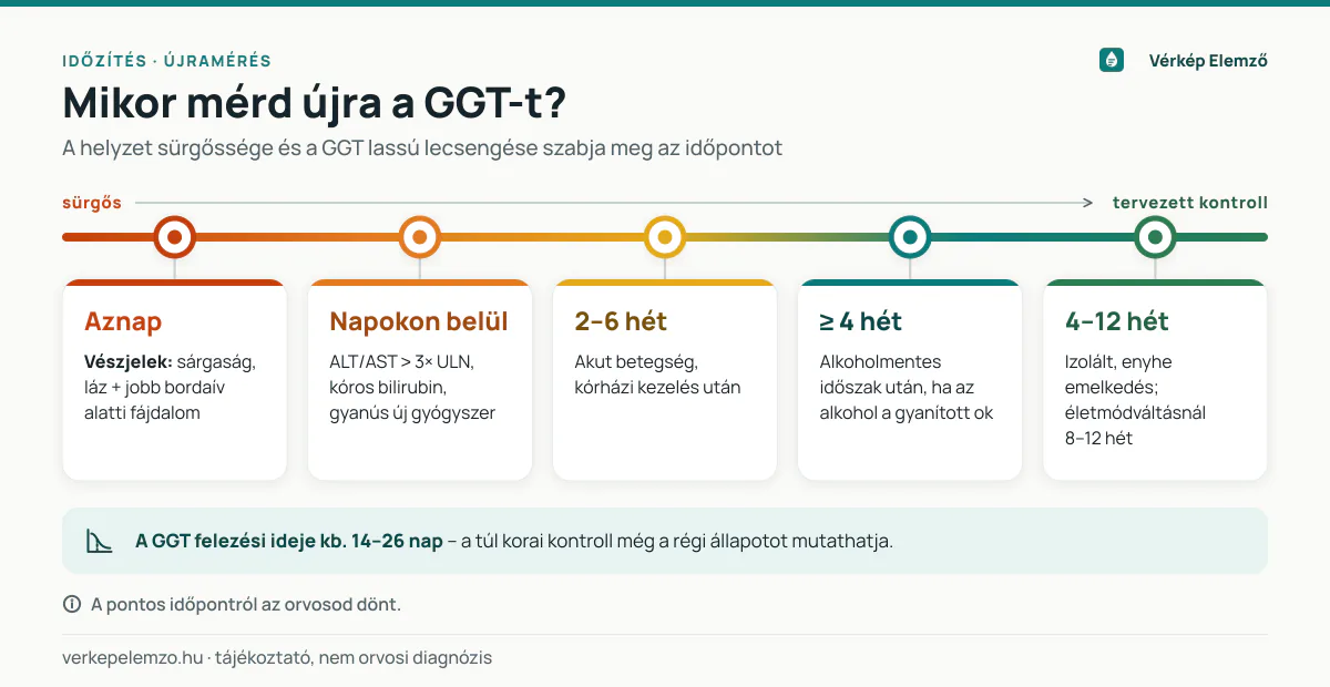 Mikor mérd újra a GGT-t? – az újramérés időzítése Vízszintes idővonal a GGT újramérésének időzítéséről: vészjeleknél aznap, kóros kísérő értékeknél napokon belül, betegség után 2–6 héttel, alkoholmentes időszak után legalább 4 héttel, izolált enyhe emelkedésnél 4–12 héttel